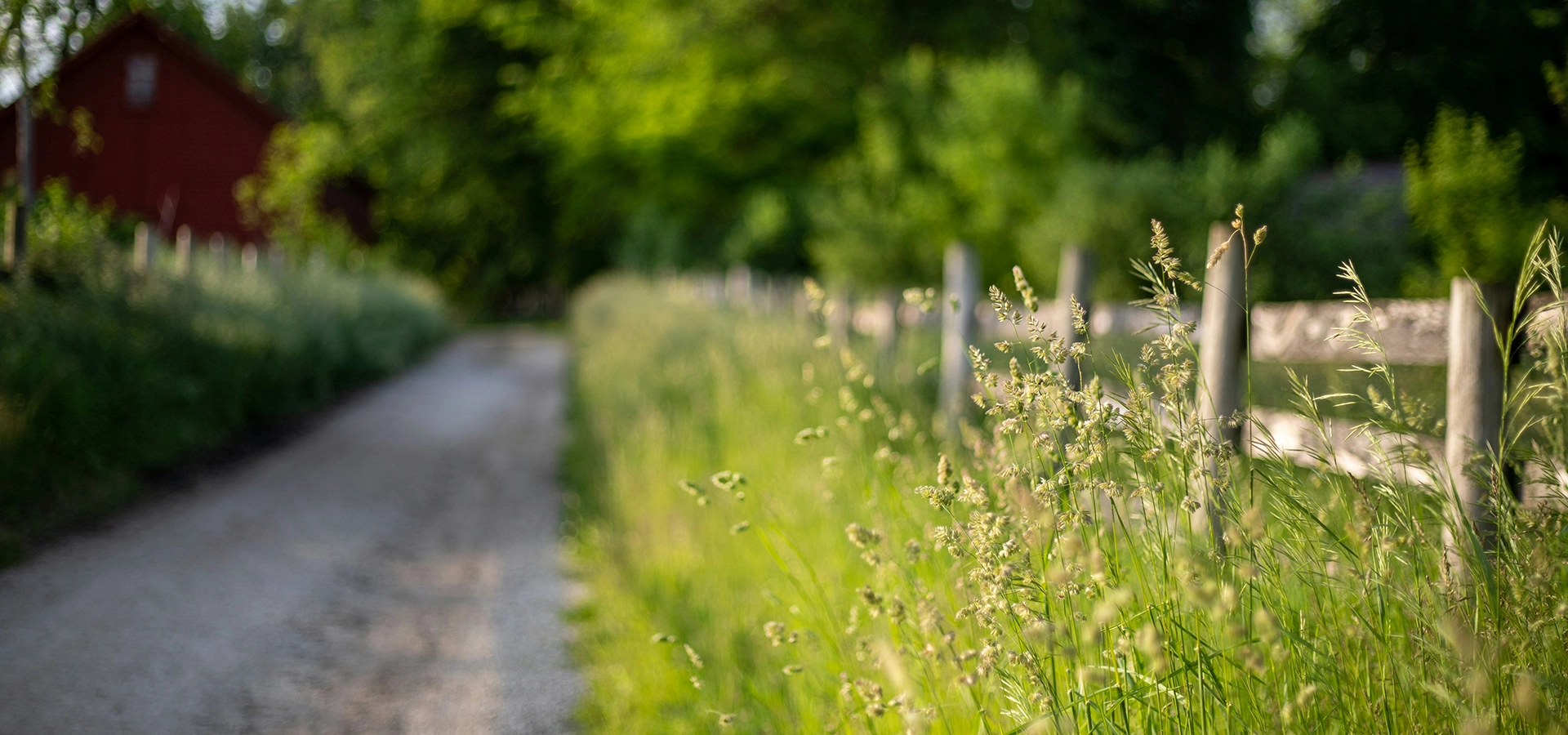 Restaurant near Beaune: La Ferme de la Ruchotte, a must-visit!