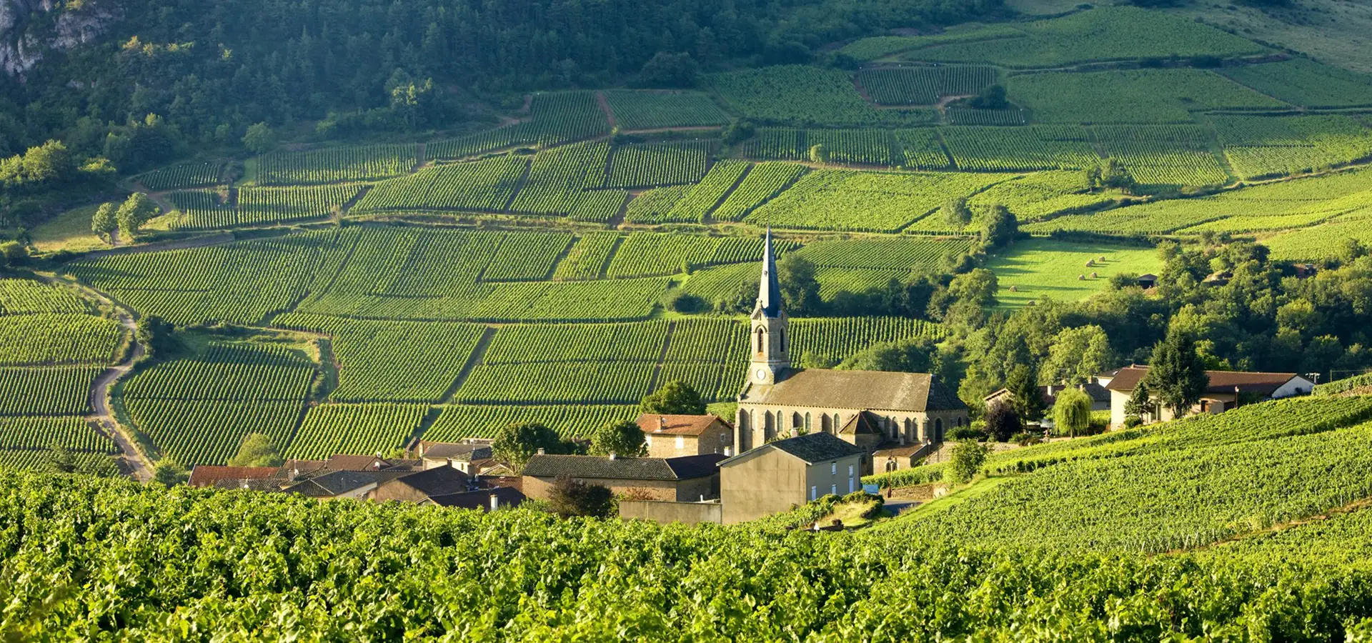 Burgundy, France: <strong>The 7 best restaurants</strong>
